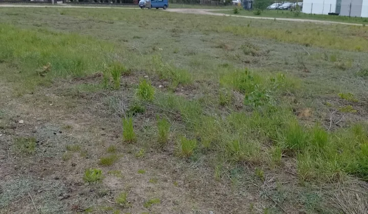 Działka budowlana Olmonty