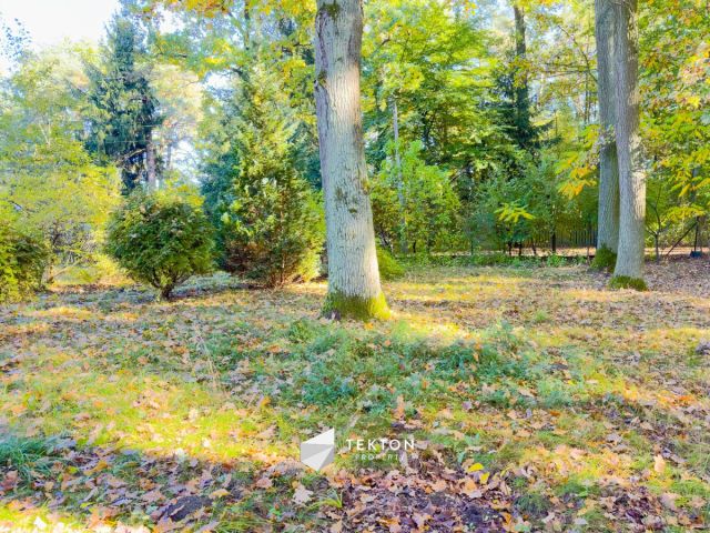 Działka leśna Warszawa Stara Miłosna, ul. Torfowa. Zdjęcie 8