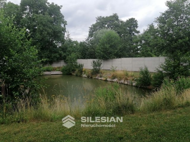 kamienica, 10 pokoi Dzierżoniów, ul. Błonie. Zdjęcie 31