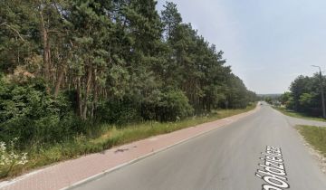 Działka leśna Janowiec, ul. Spółdzielcza