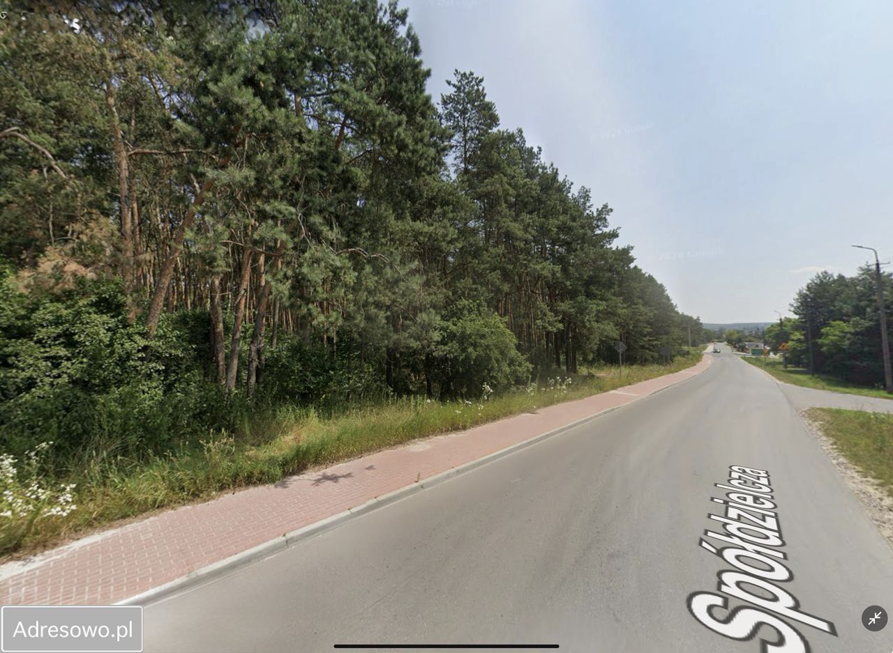 Działka leśna Janowiec, ul. Spółdzielcza. Zdjęcie 2