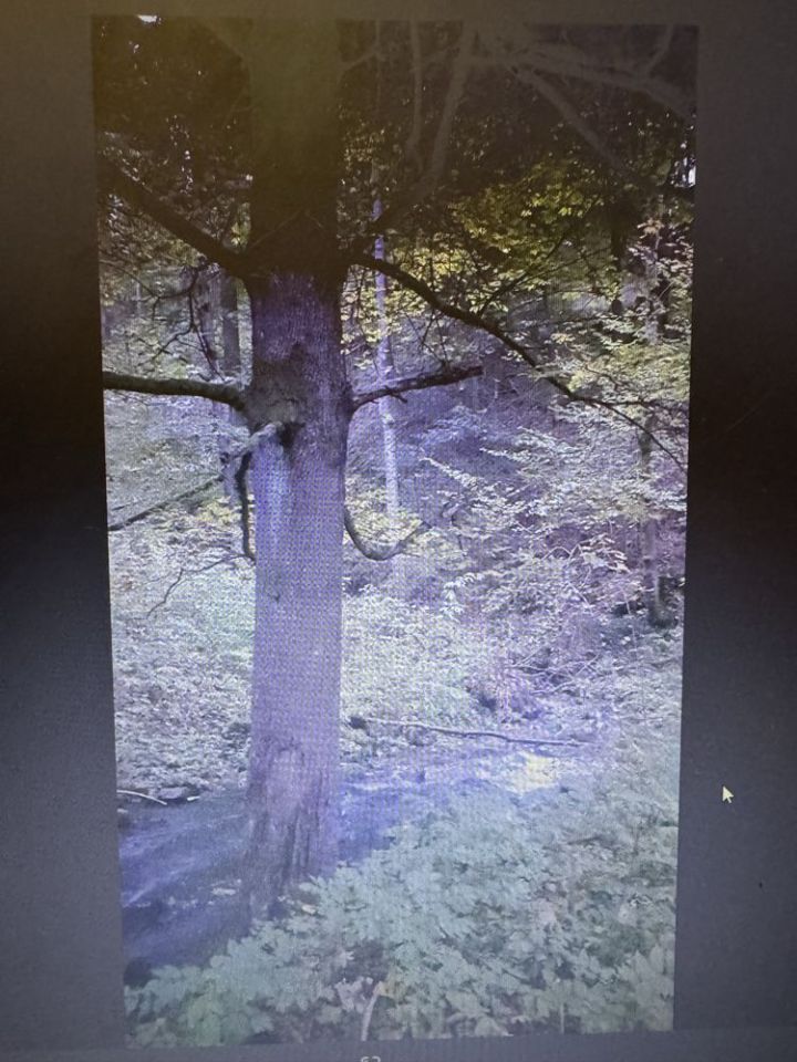 Działka budowlana Potoczek. Zdjęcie 5