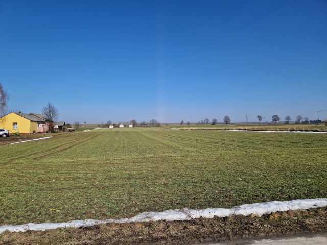 Działka rolno-budowlana Podzamcze. Zdjęcie 1