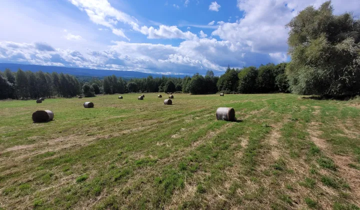 Działka rolno-budowlana Grudza
