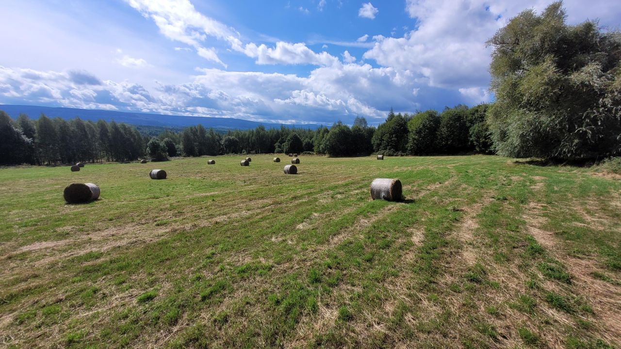 Działka na sprzedaż bez pośredników
Grudza