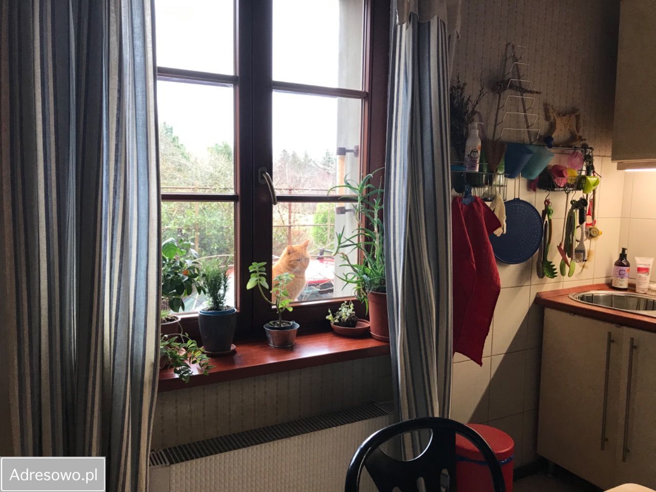 dom wolnostojący, 6 pokoi Serby, ul. Kościelna. Zdjęcie 6