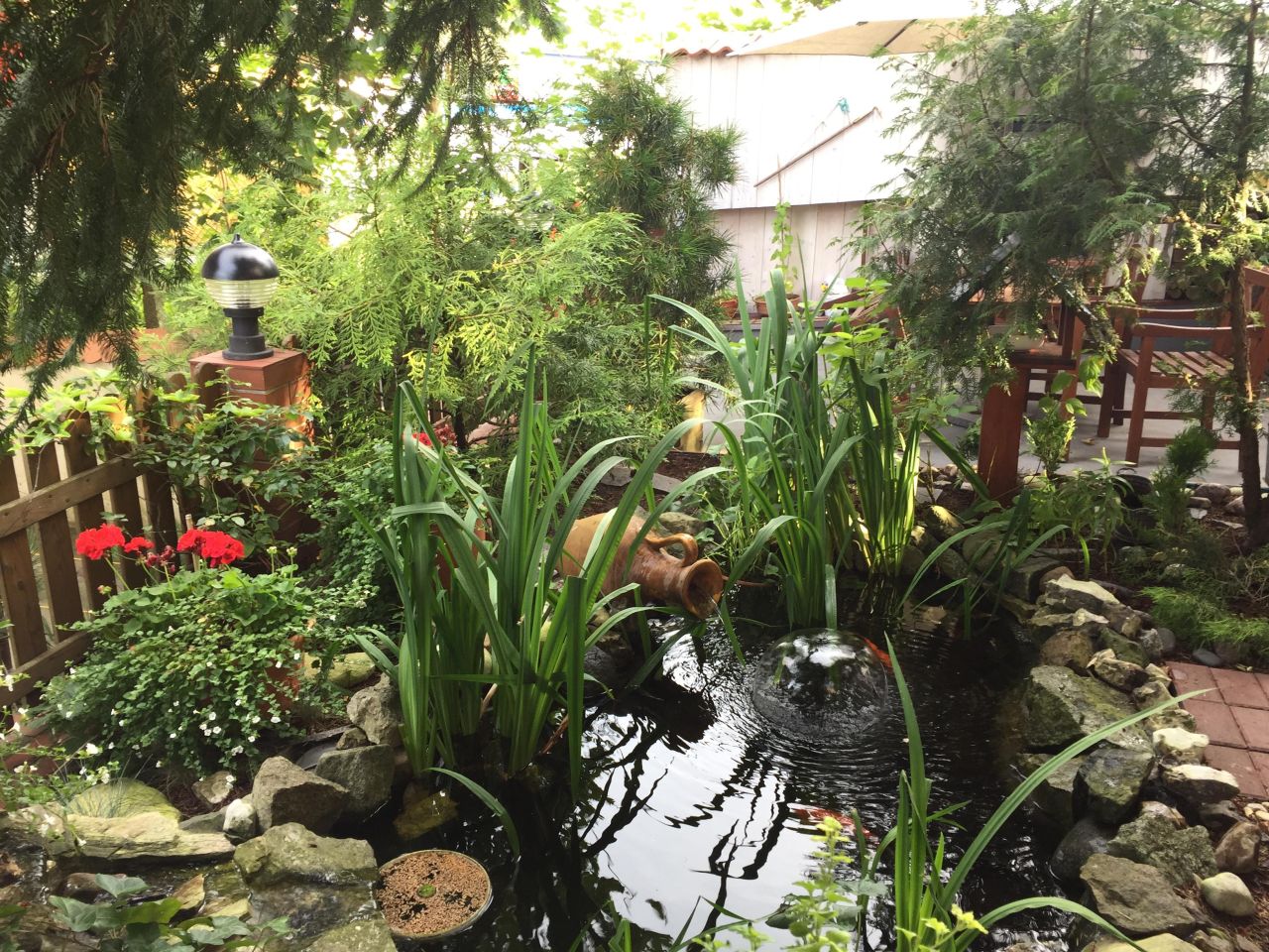 dom wolnostojący, 7 pokoi Międzyzdroje, ul. Zwycięstwa. Zdjęcie 15