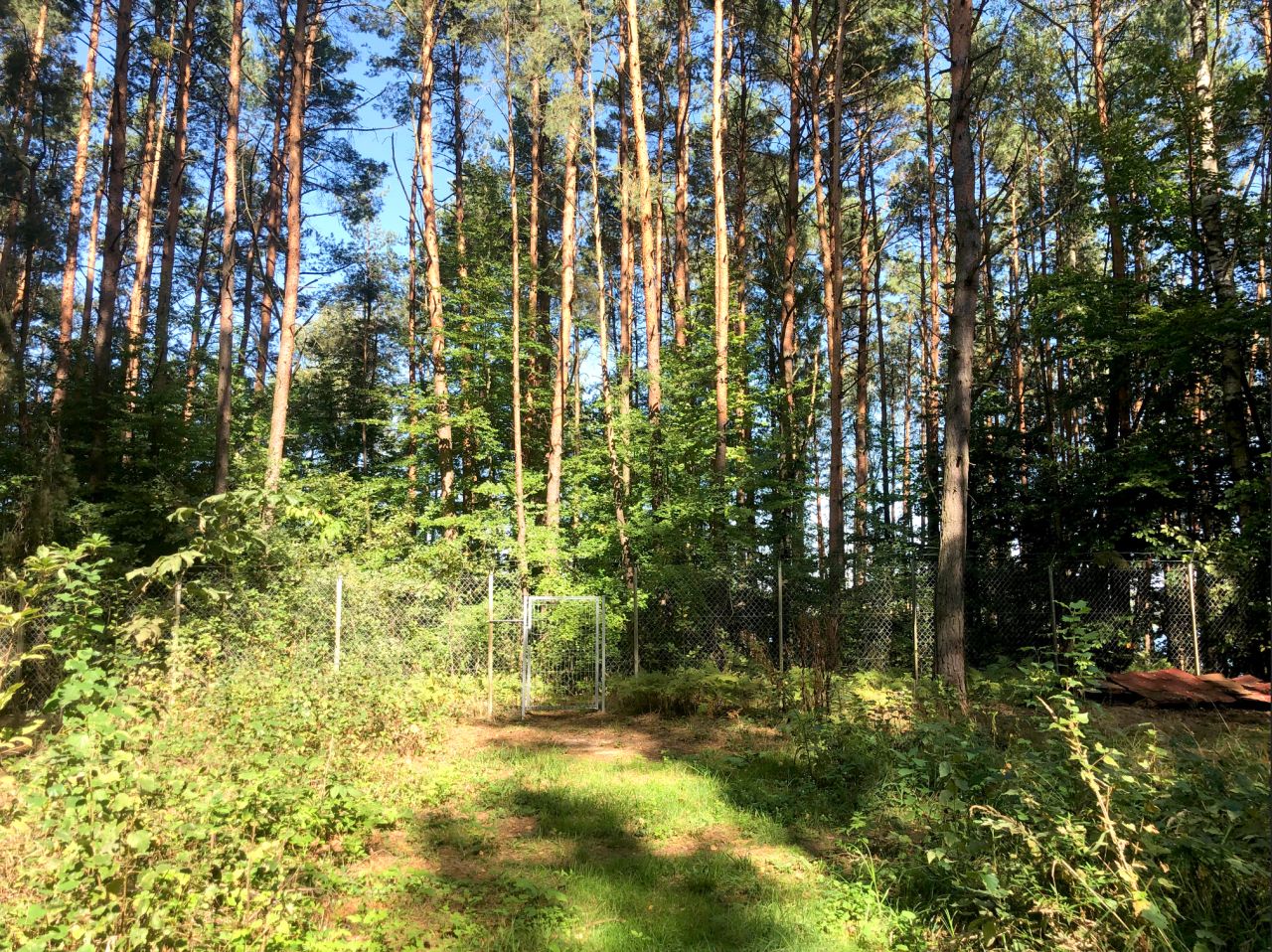 dom letniskowy, 1 pokój Korytnica Kolanka. Zdjęcie 7