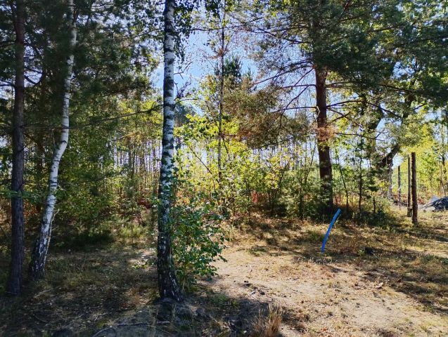 Działka budowlana Olesin. Zdjęcie 1