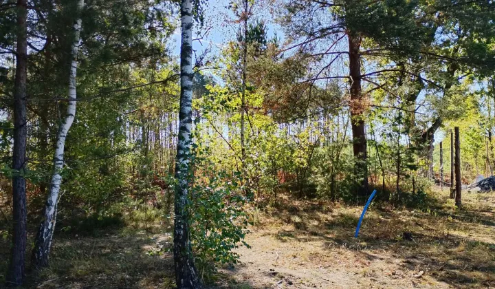 Działka budowlana Olesin