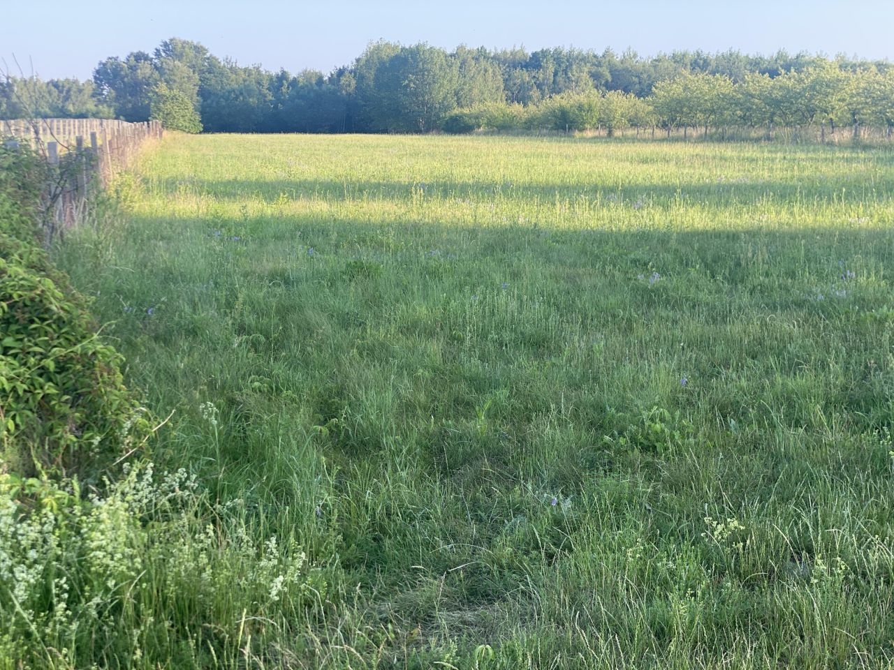Działka budowlana Jakubowizna. Zdjęcie 18