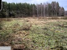 Działka siedliskowa Dorotowo. Zdjęcie 3