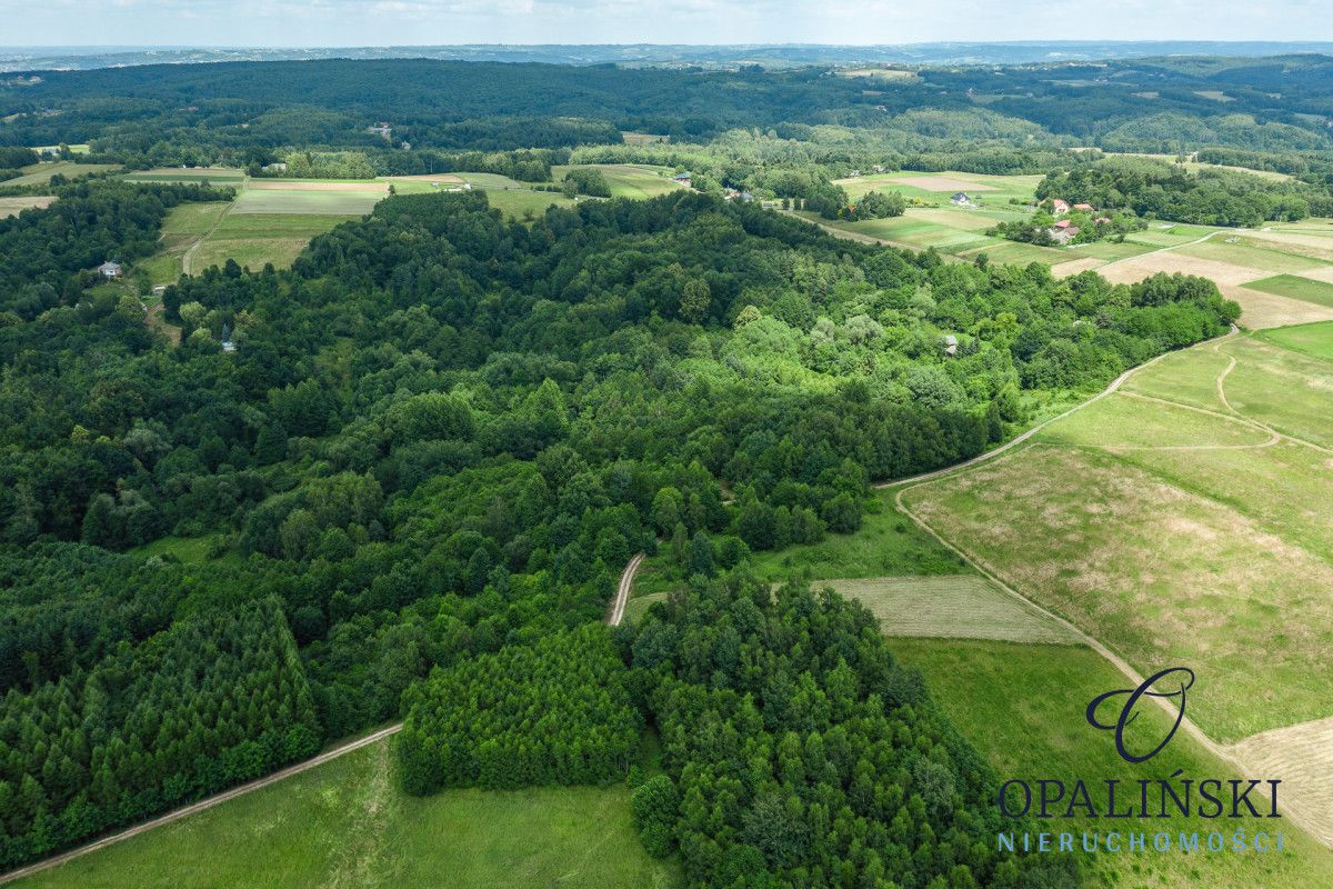 Działka inwestycyjna Straszydle. Zdjęcie 9