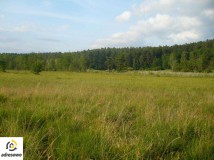 Działka rolna Bryńsk. Zdjęcie 3