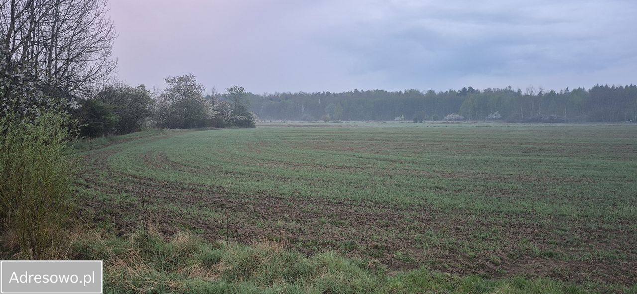 Działka rolna Wielichowo. Zdjęcie 7