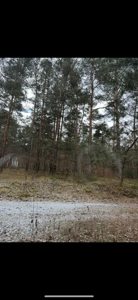 Działka rolno-budowlana Hucisko. Zdjęcie 6