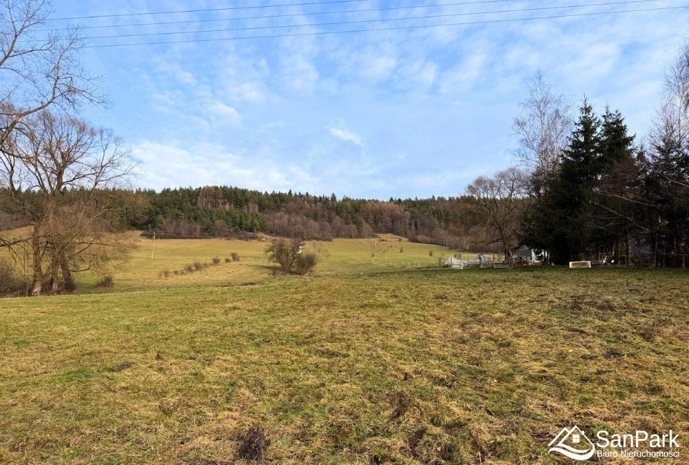 Działka rolna Ustrzyki Dolne. Zdjęcie 7