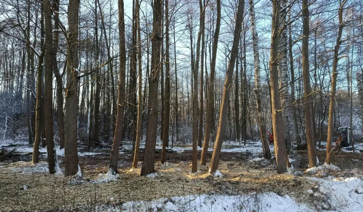 Działka budowlana Słabomierz