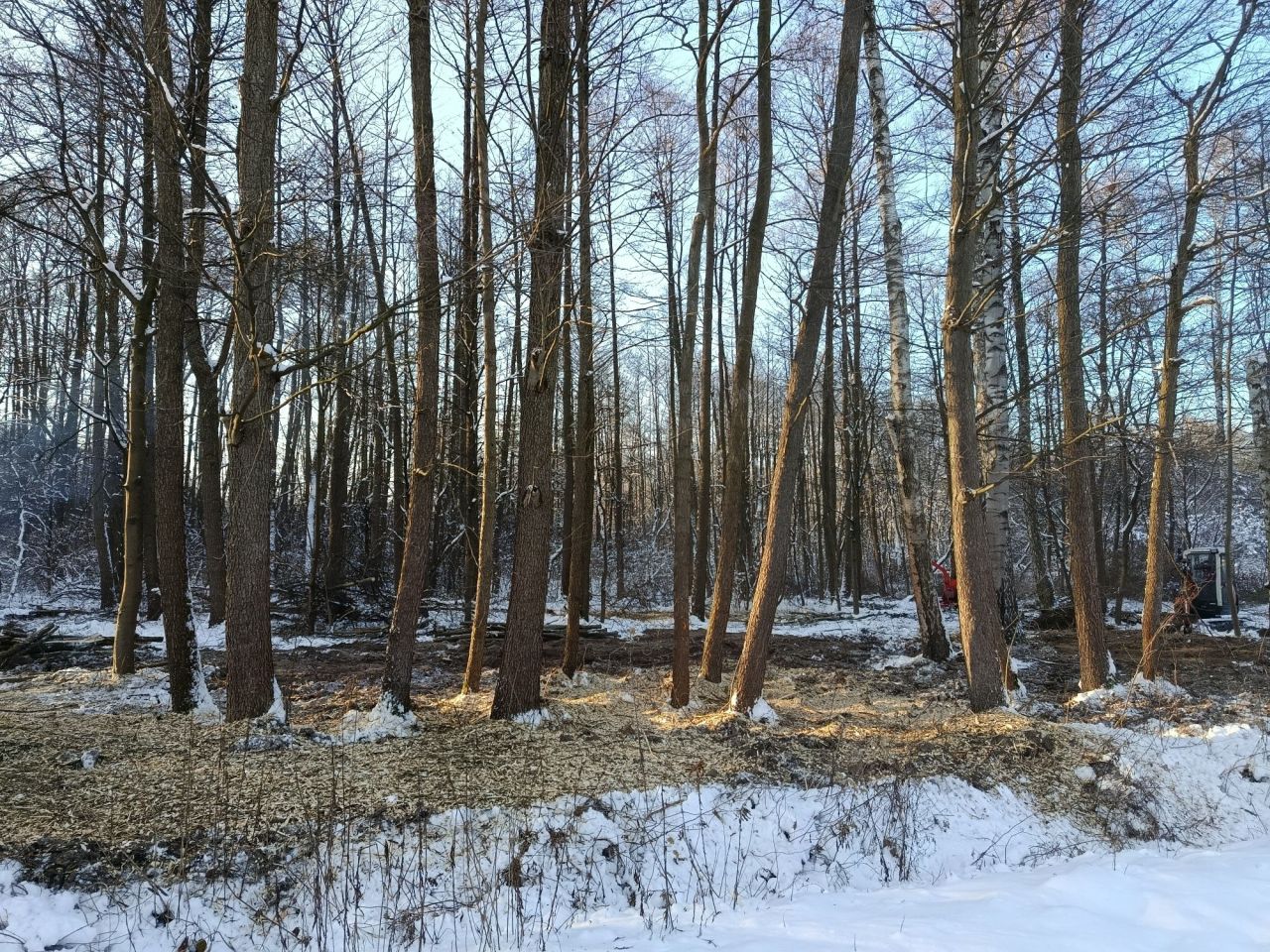 Działka budowlana Słabomierz