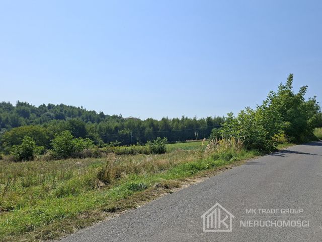 Działka Bodzanów. Zdjęcie 1