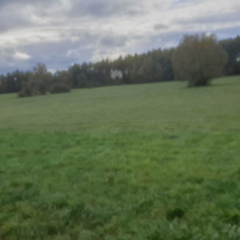 Działka budowlana Łaziska. Zdjęcie 5