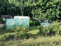 Działka rod Straszyn, ul. inż. A. Hoffmanna. Zdjęcie 2