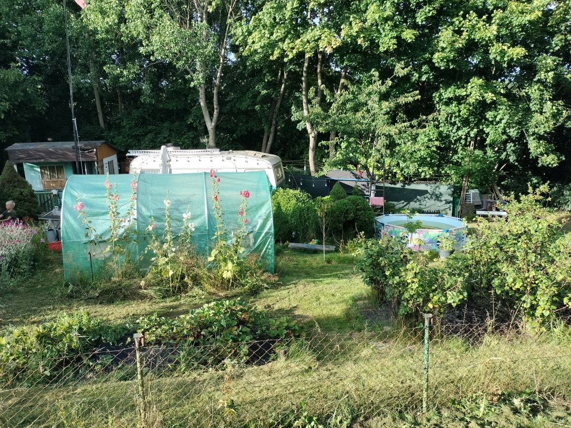 Działka rod Straszyn, ul. inż. A. Hoffmanna. Zdjęcie 3