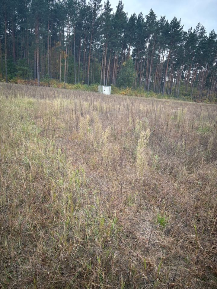 Działka budowlana Stajenczynki. Zdjęcie 1