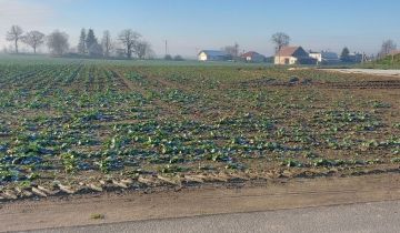 dom wolnostojący Pogorzela