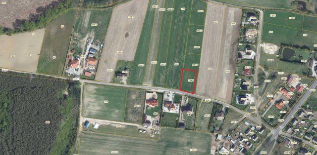 Działka budowlana Świętoszyn. Zdjęcie 1