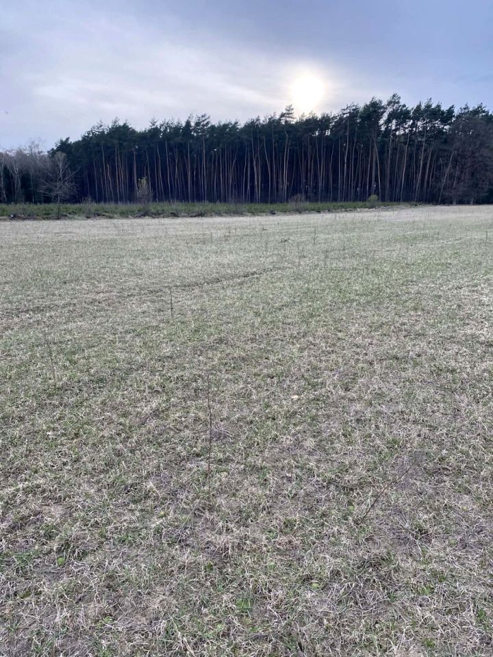 Działka budowlana Skrzynka. Zdjęcie 4