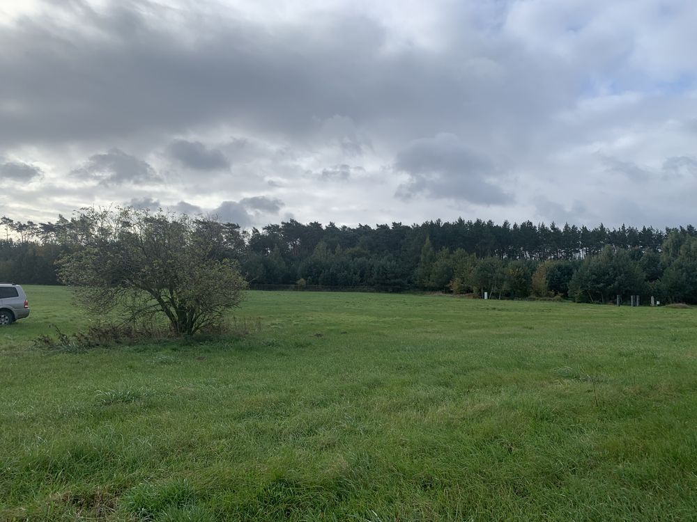 Działka rekreacyjna Guźnia. Zdjęcie 3