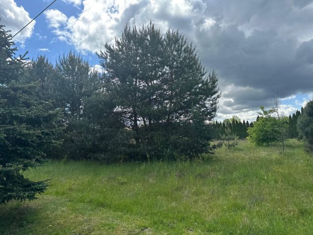 Działka budowlana Bądzyń, ul. ks. Brzóski. Zdjęcie 5