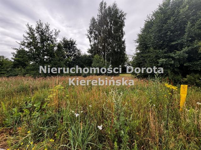 Działka rolna Wolanów. Zdjęcie 4