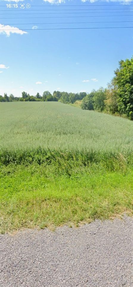 Działka rolno-budowlana Stary Uścimów Uścimów-Kolonia