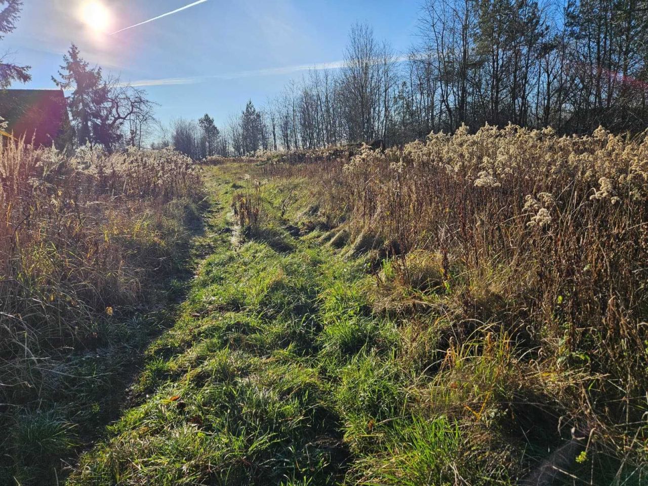 Działka rolno-budowlana Ostrowy Baranowskie. Zdjęcie 7