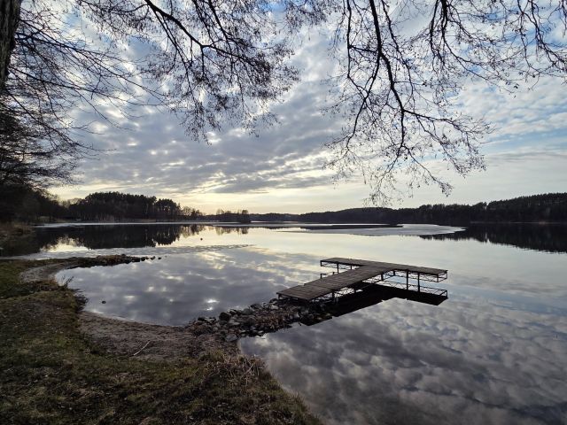 Działka rolno-budowlana Sznurki, Świerkowa. Zdjęcie 1