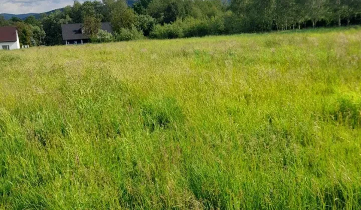 Działka budowlana Inwałd
