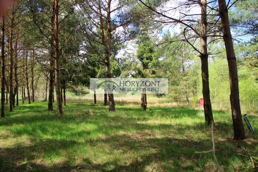 Działka budowlana Sitno. Zdjęcie 2