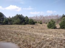 Działka budowlana Zawały. Zdjęcie 3