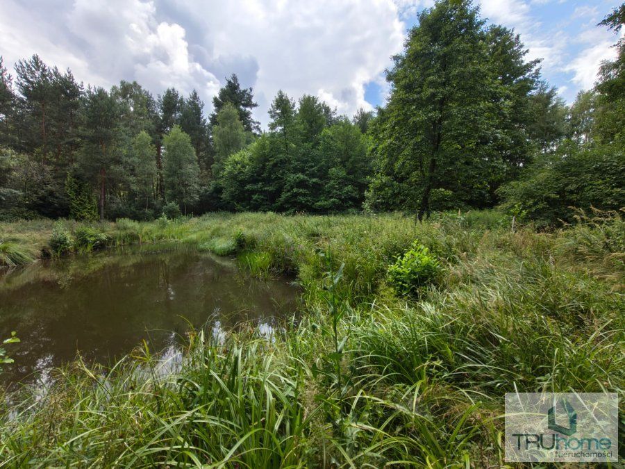 Działka rolno-budowlana Hutka. Zdjęcie 6