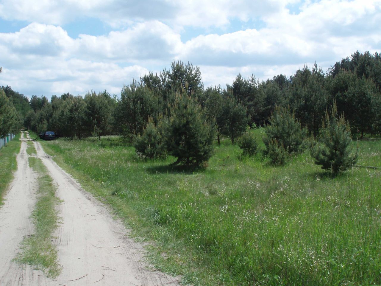 Działka budowlana Natać Wielka. Zdjęcie 2