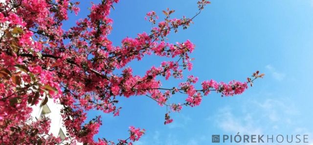 Mieszkanie 3-pokojowe Warszawa Ursynów, ul. Małej Łąki. Zdjęcie 11