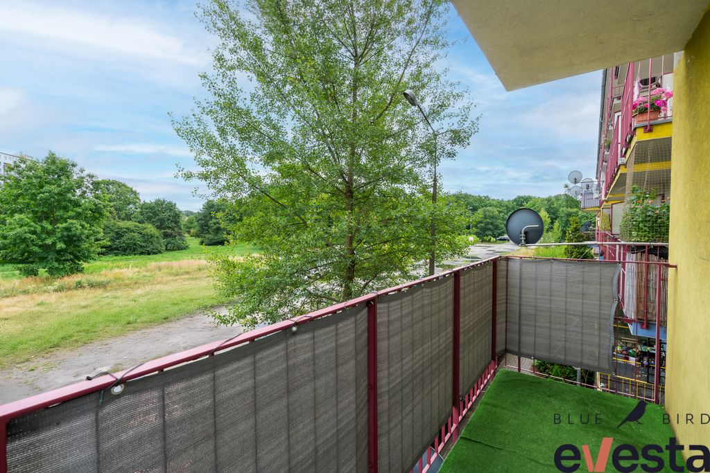 Mieszkanie 1-pokojowe Wrocław, ul. Kolista. Zdjęcie 6