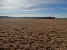 Działka rolna Zalesie. Zdjęcie 2