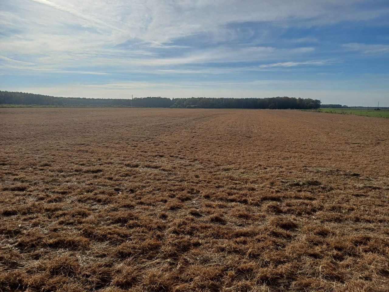 Działka rolna Zalesie. Zdjęcie 3