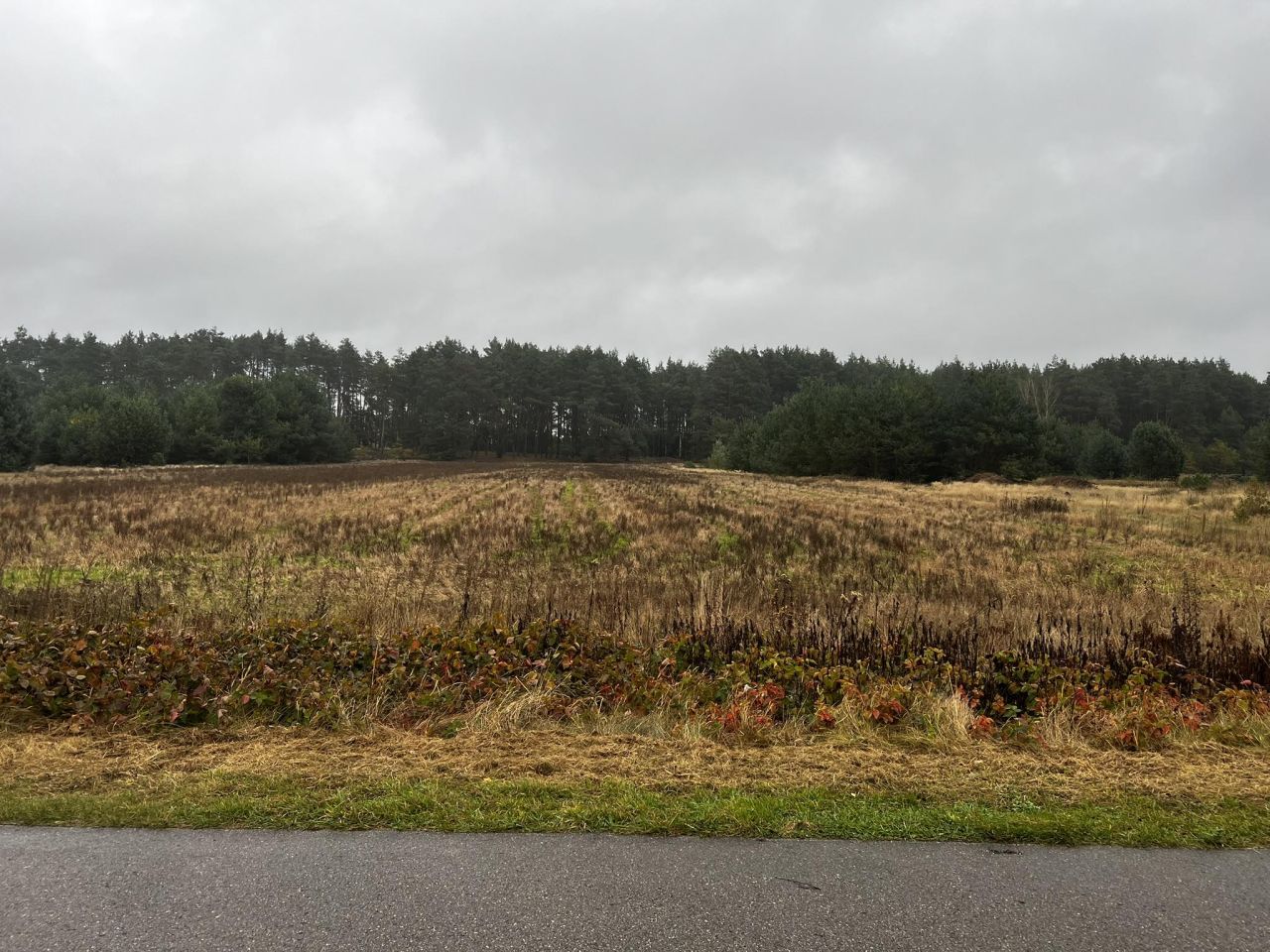 Działka budowlana Maksymilianów. Zdjęcie 7