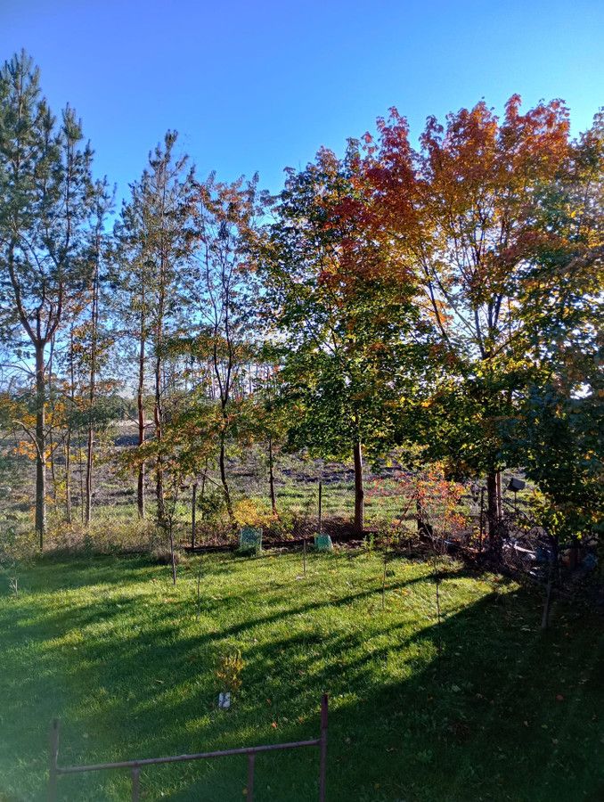 dom wolnostojący, 2 pokoje Łask Kolumna. Zdjęcie 8