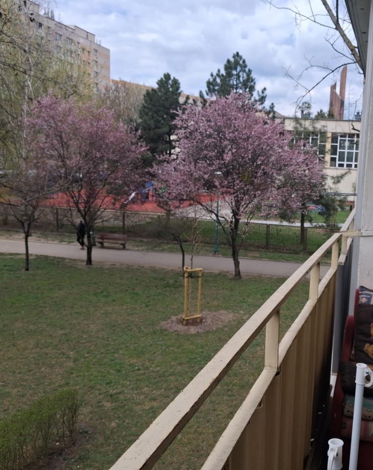 Mieszkanie 2-pokojowe Warszawa Stegny, Nicejska. Zdjęcie 2