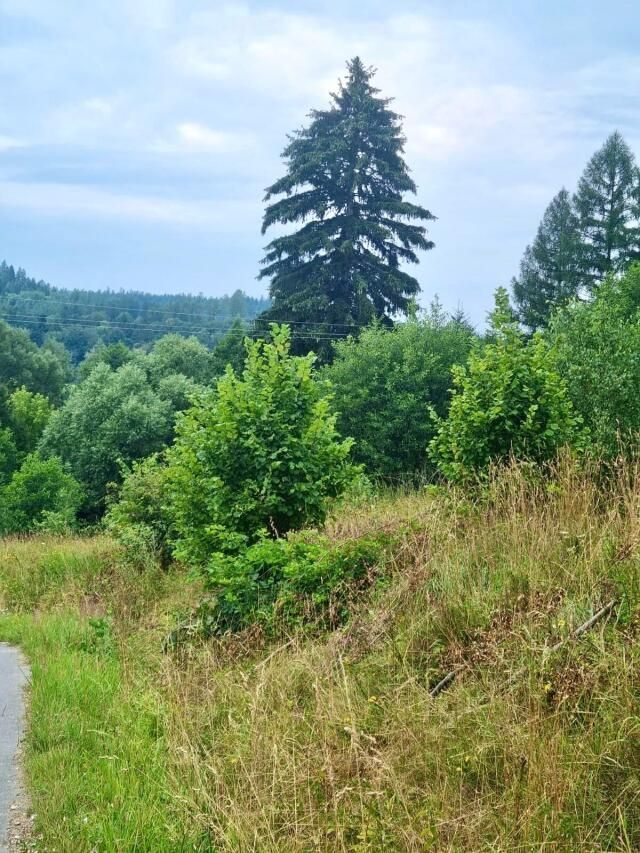 dom wolnostojący, 3 pokoje Wyszki. Zdjęcie 12